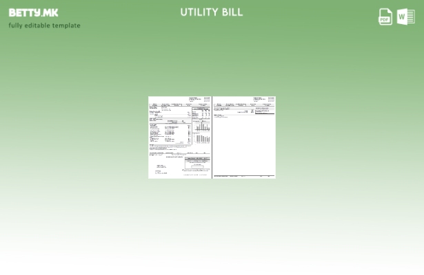 Модерен стил Шаблон за страници за сметки за комунални услуги USA Peoples Gas